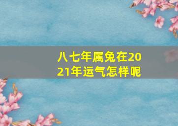 八七年属兔在2021年运气怎样呢