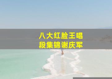 八大红脸王唱段集锦谢庆军