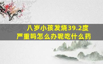 八岁小孩发烧39.2度严重吗怎么办呢吃什么药