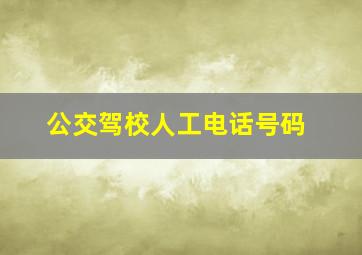 公交驾校人工电话号码