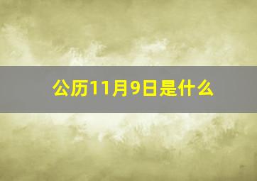 公历11月9日是什么