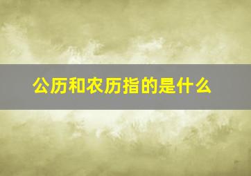 公历和农历指的是什么