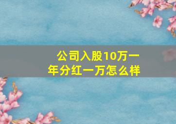 公司入股10万一年分红一万怎么样