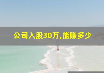 公司入股30万,能赚多少