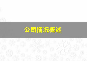 公司情况概述