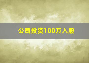 公司投资100万入股