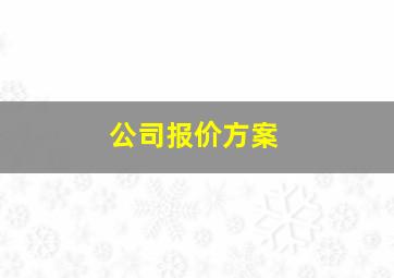 公司报价方案