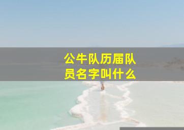 公牛队历届队员名字叫什么