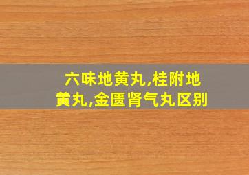 六味地黄丸,桂附地黄丸,金匮肾气丸区别