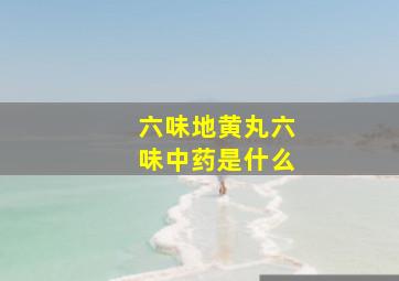 六味地黄丸六味中药是什么