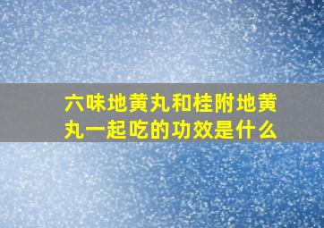 六味地黄丸和桂附地黄丸一起吃的功效是什么