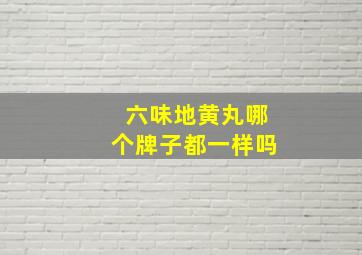 六味地黄丸哪个牌子都一样吗