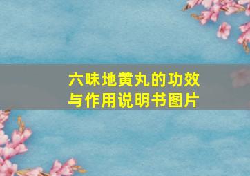 六味地黄丸的功效与作用说明书图片