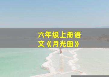 六年级上册语文《月光曲》