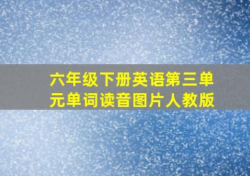 六年级下册英语第三单元单词读音图片人教版