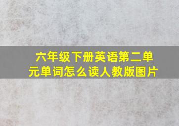 六年级下册英语第二单元单词怎么读人教版图片