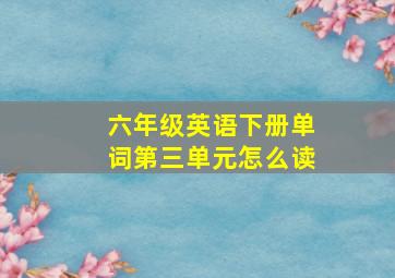 六年级英语下册单词第三单元怎么读