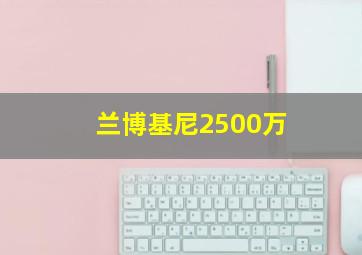 兰博基尼2500万