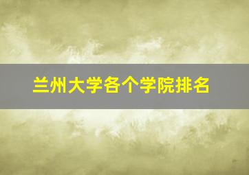 兰州大学各个学院排名