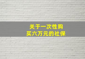 关于一次性购买六万元的社保