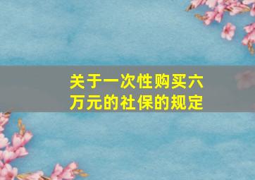 关于一次性购买六万元的社保的规定