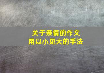 关于亲情的作文用以小见大的手法