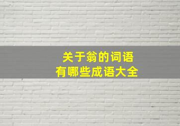 关于翁的词语有哪些成语大全