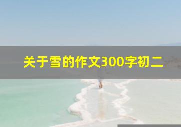 关于雪的作文300字初二