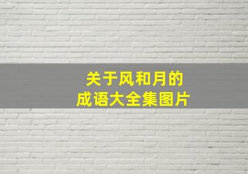 关于风和月的成语大全集图片