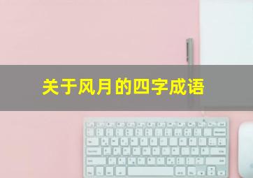 关于风月的四字成语