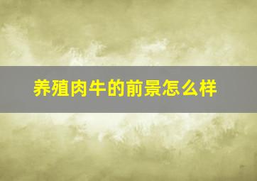 养殖肉牛的前景怎么样