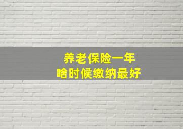 养老保险一年啥时候缴纳最好