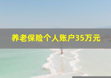 养老保险个人账户35万元