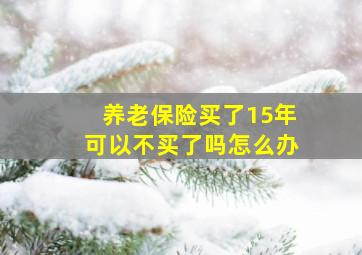 养老保险买了15年可以不买了吗怎么办