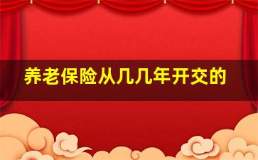 养老保险从几几年开交的