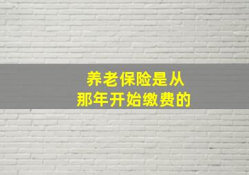 养老保险是从那年开始缴费的