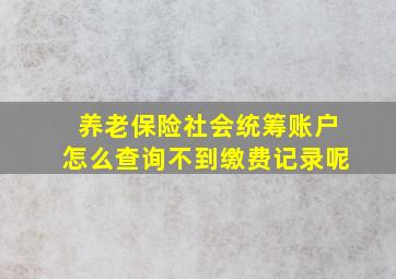 养老保险社会统筹账户怎么查询不到缴费记录呢