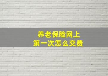 养老保险网上第一次怎么交费