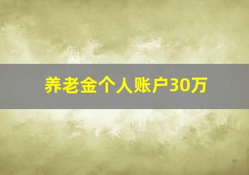 养老金个人账户30万