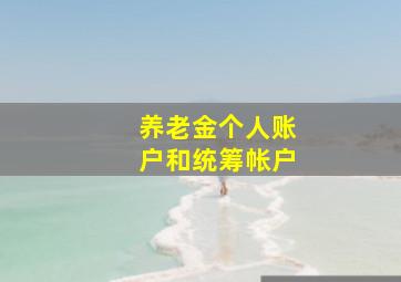 养老金个人账户和统筹帐户