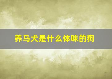 养马犬是什么体味的狗