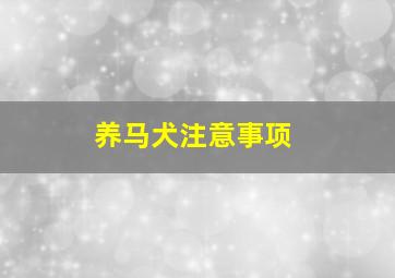 养马犬注意事项