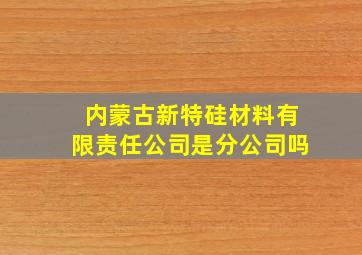 内蒙古新特硅材料有限责任公司是分公司吗