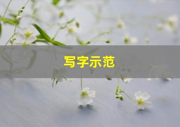 写字示范