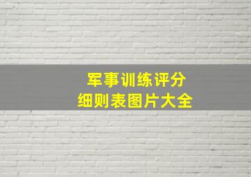 军事训练评分细则表图片大全