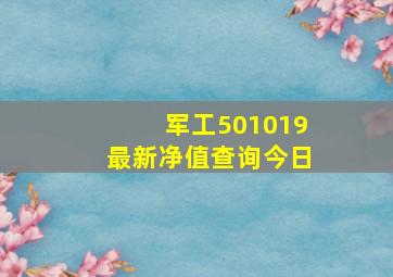 军工501019最新净值查询今日