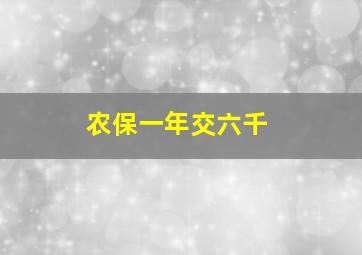 农保一年交六千