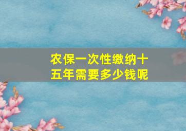 农保一次性缴纳十五年需要多少钱呢