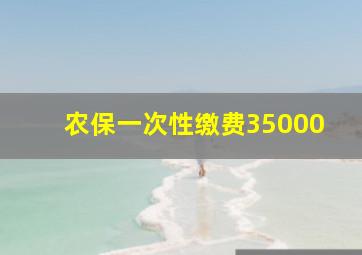 农保一次性缴费35000