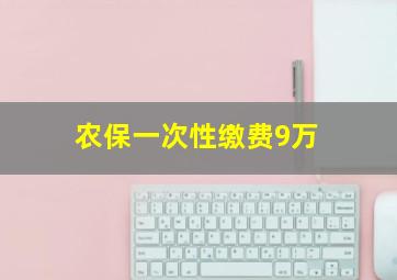 农保一次性缴费9万